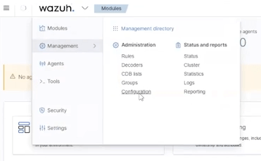 Wazuh manager